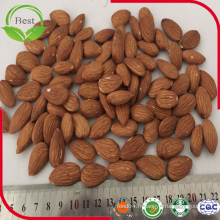 Sweet Almond Kernels California Amandes